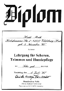 Diplom fr Lehrgang